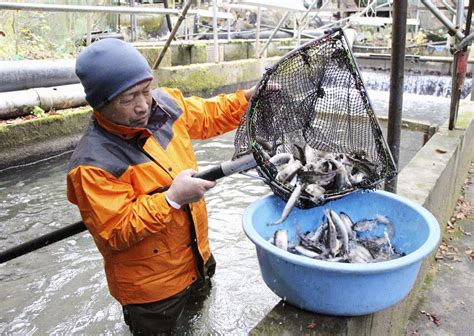 角掛養魚場|行德（角掛）養魚場